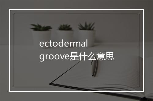 ectodermal groove是什么意思