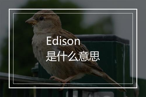 Edison是什么意思