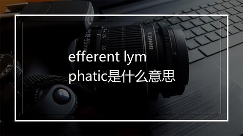 efferent lymphatic是什么意思