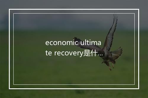 economic ultimate recovery是什么意思