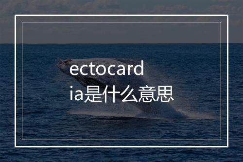 ectocardia是什么意思