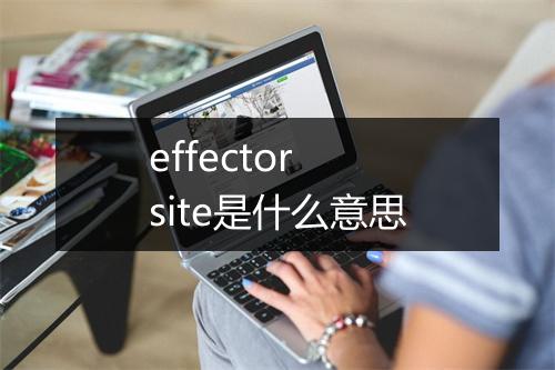 effector site是什么意思