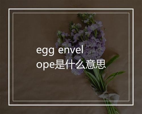 egg envelope是什么意思