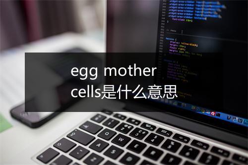 egg mother cells是什么意思