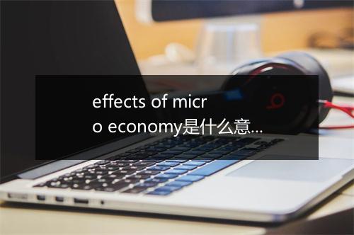 effects of micro economy是什么意思