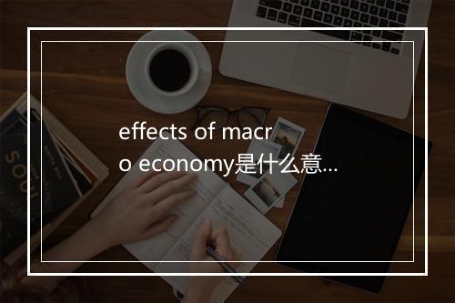 effects of macro economy是什么意思