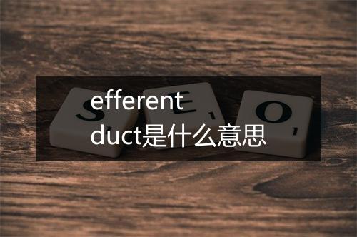 efferent duct是什么意思