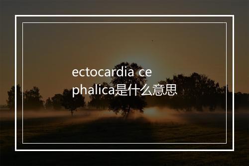 ectocardia cephalica是什么意思