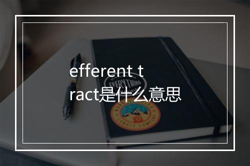 efferent tract是什么意思