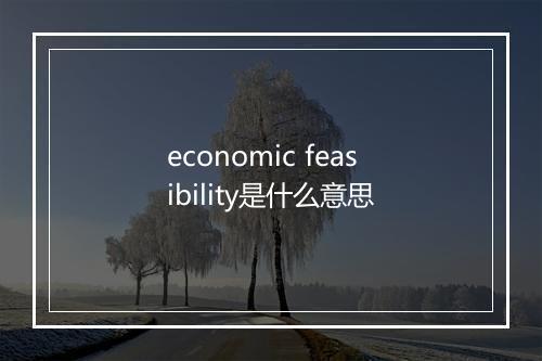 economic feasibility是什么意思