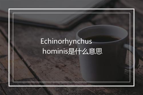 Echinorhynchus hominis是什么意思