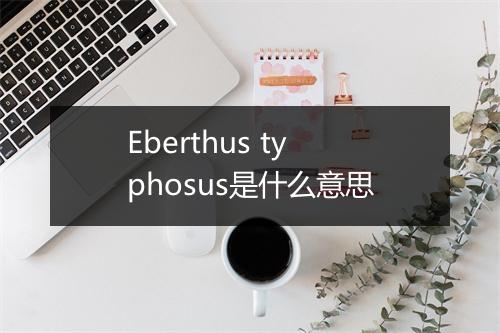 Eberthus typhosus是什么意思