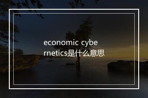 economic cybernetics是什么意思