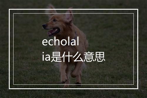 echolalia是什么意思