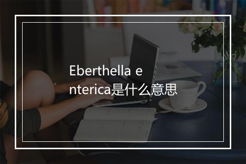 Eberthella enterica是什么意思