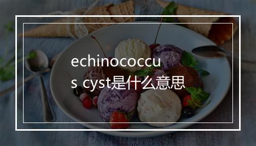 echinococcus cyst是什么意思