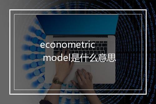 econometric model是什么意思