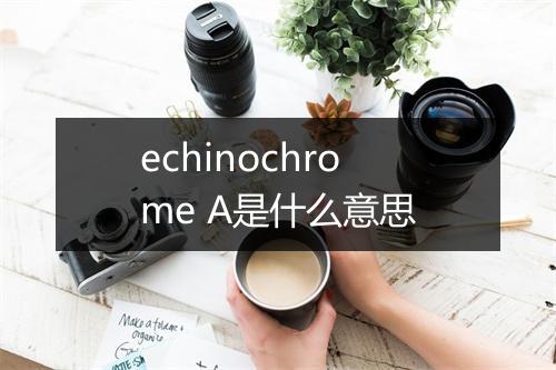 echinochrome A是什么意思