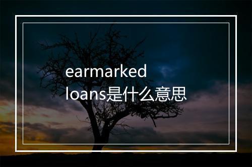 earmarked loans是什么意思