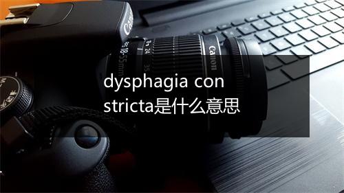 dysphagia constricta是什么意思