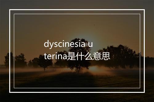 dyscinesia uterina是什么意思