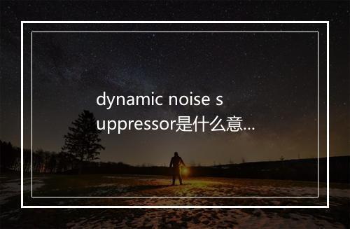 dynamic noise suppressor是什么意思