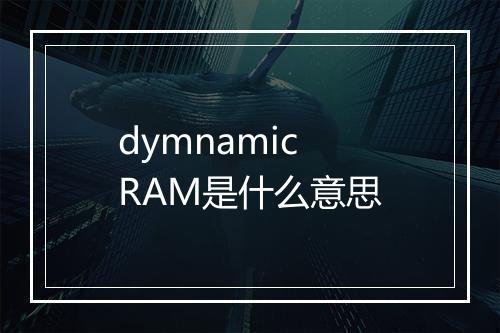 dymnamic RAM是什么意思