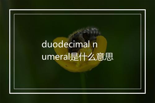 duodecimal numeral是什么意思