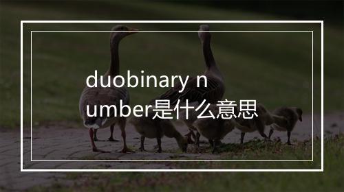 duobinary number是什么意思