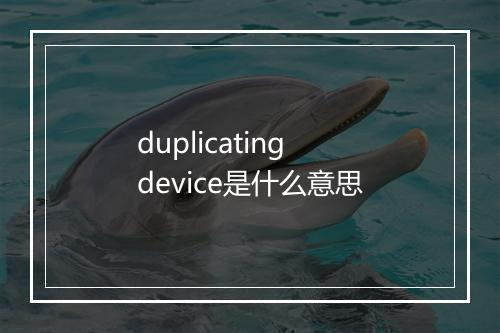 duplicating device是什么意思