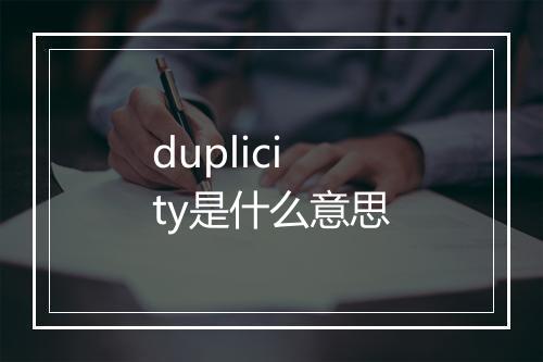 duplicity是什么意思