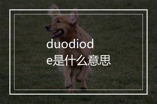 duodiode是什么意思