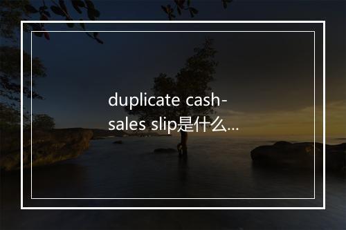 duplicate cash-sales slip是什么意思