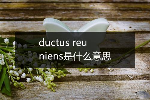 ductus reuniens是什么意思