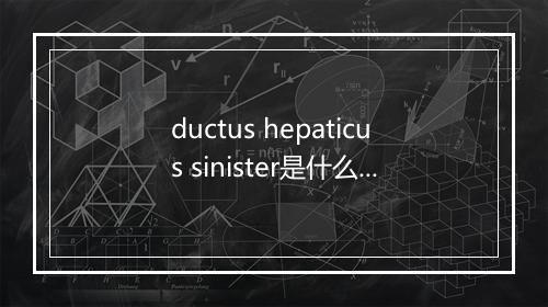 ductus hepaticus sinister是什么意思