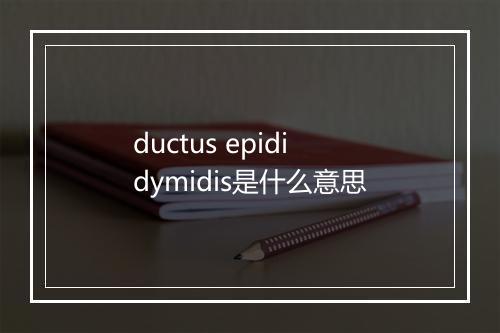 ductus epididymidis是什么意思