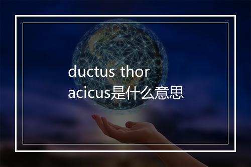 ductus thoracicus是什么意思