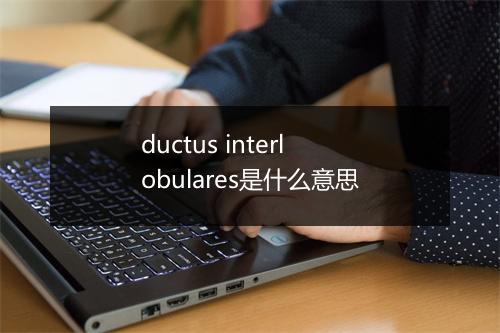 ductus interlobulares是什么意思