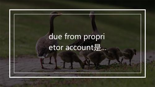 due from proprietor account是什么意思