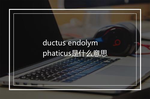 ductus endolymphaticus是什么意思