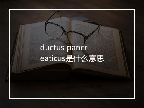 ductus pancreaticus是什么意思