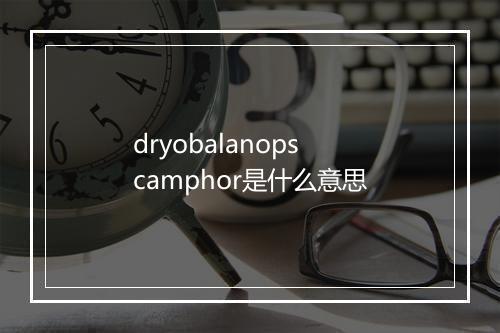 dryobalanops camphor是什么意思