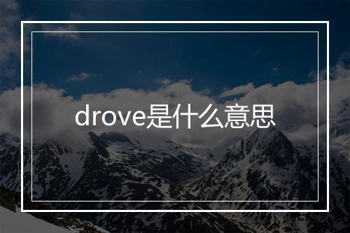 drove是什么意思