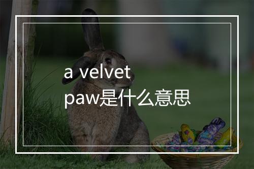 a velvet paw是什么意思