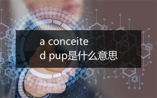 a conceited pup是什么意思