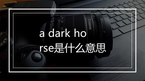 a dark horse是什么意思