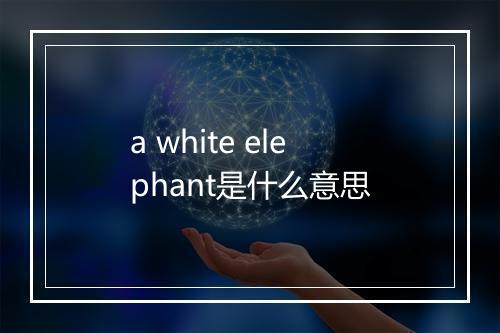 a white elephant是什么意思