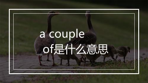 a couple of是什么意思