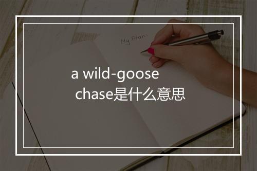 a wild-goose chase是什么意思