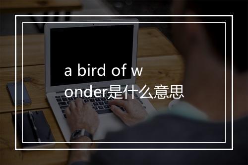 a bird of wonder是什么意思